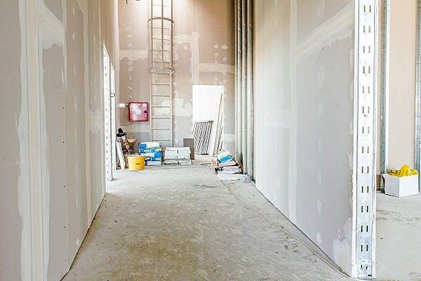 Best Residential Mold Inspection & Testing  in Five Forks, SC